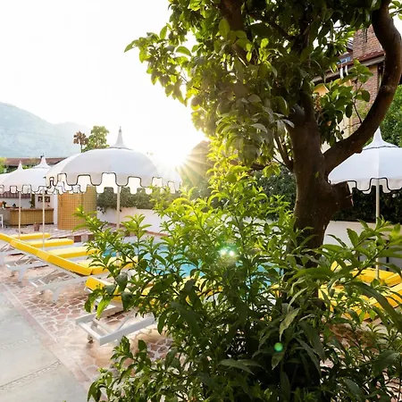 Otel Yonca Anjelika *